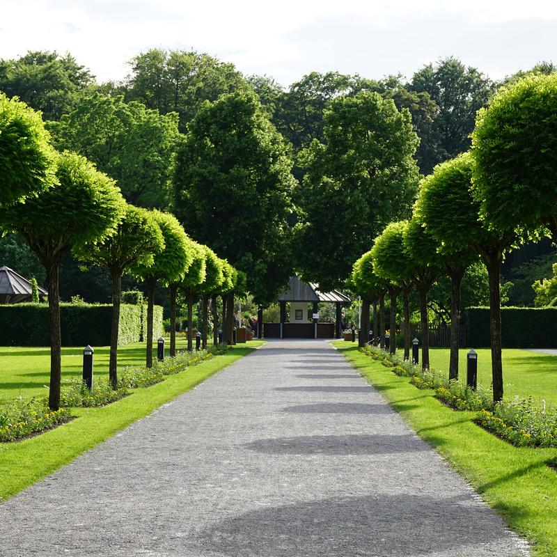tuinontwerp aan huis